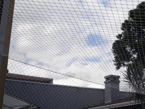 Telas de segurança para pets em Itajaí