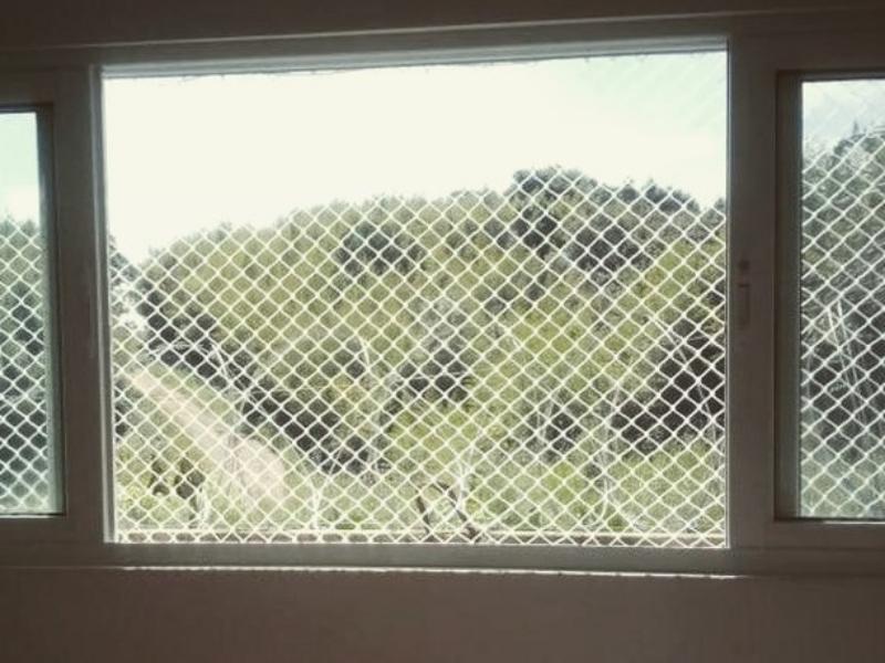 Proteja animais com tela de proteção em Gaspar SC