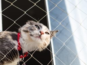 Redes de segurança para playgrounds em Itajaí