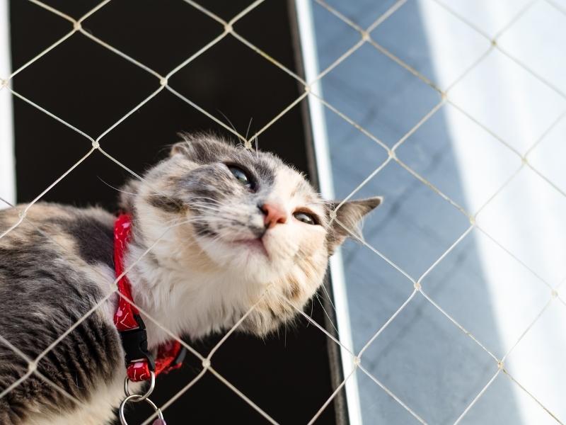 Redes de segurança para playgrounds em Itajaí