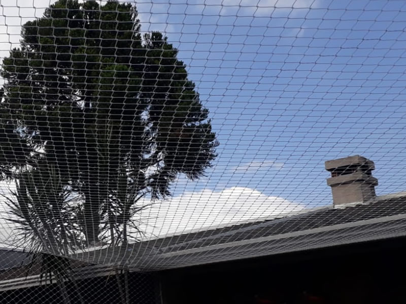 Garanta a segurança de animais com rede protetora em Brilhante, Itajaí